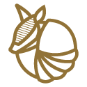 2024-Dillo_Gold-125